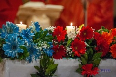 FIORI CRESIMA 06/03/2023